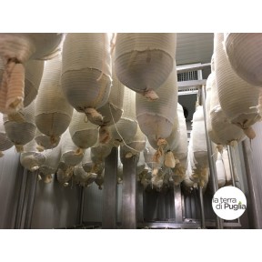 Capocollo di Martina Franca
