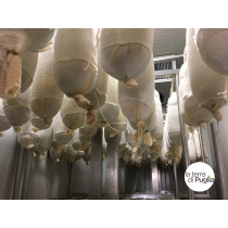 Capocollo di Martina Franca