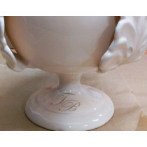 Personalizzazione Pumo (loghi)
