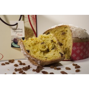 Panettone artigianale cioccolato