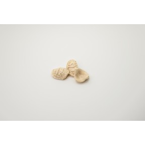 Orecchiette di grano