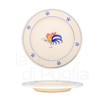 24 cm pottery dinner plate