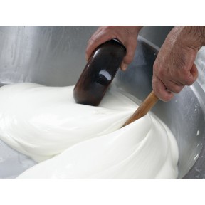 Mix latticini (mozzarella, burrata, treccia)