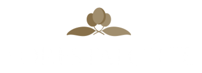 Forestaforte olio extravergine salento