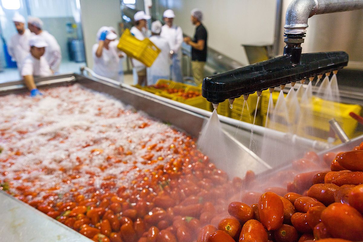 Tomatenpüree